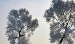 大寒冷还是小寒冷？