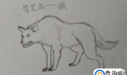 简笔画狼是怎么画的吧