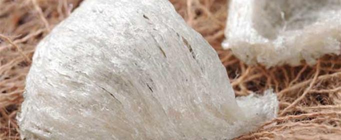 燕窝是怎么形成的