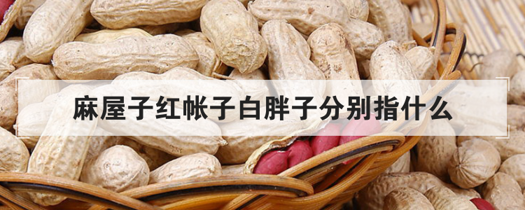 麻屋子红帐子白胖子分别指什么