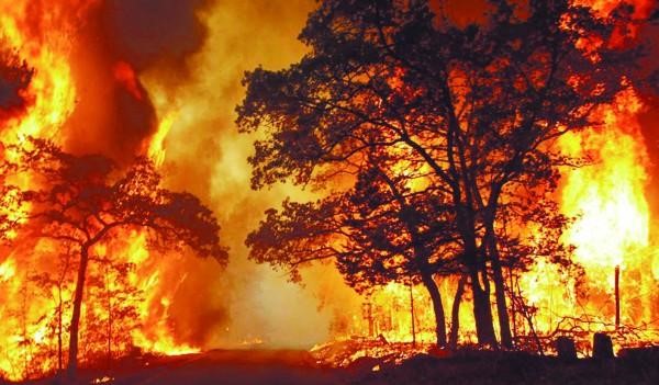 2020都发生了什么灾难