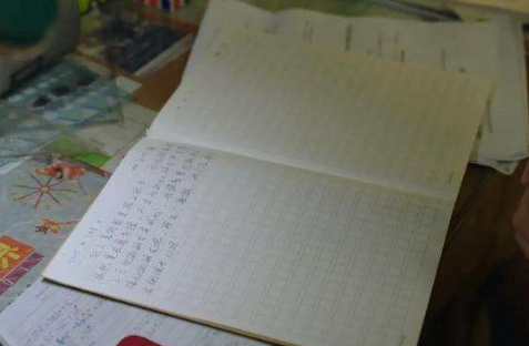 我要把你写进日记里是什么梗