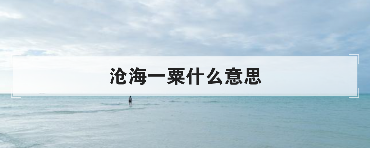 沧海一粟什么意思