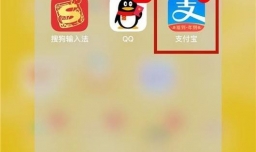 支付宝花呗账单在哪查看？怎么查看账单