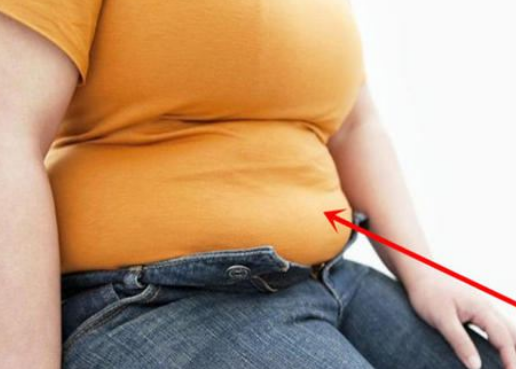 脂肪不具备的生理功用是