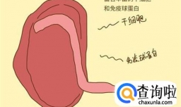 新生儿应该怎样剪断脐带？