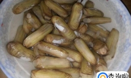 葱炒蛏子怎么做好吃