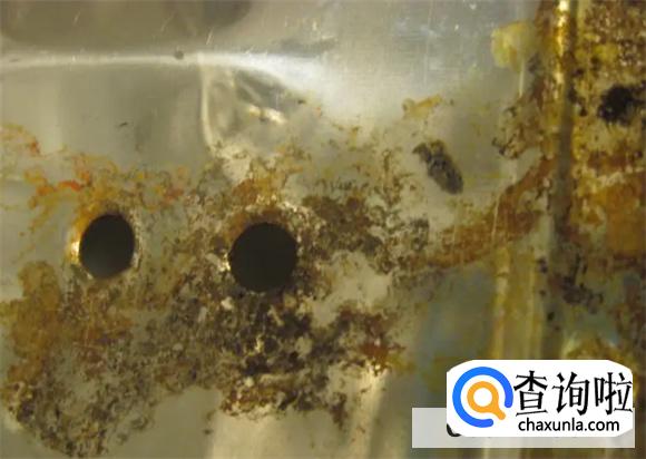 不锈钢会生锈吗