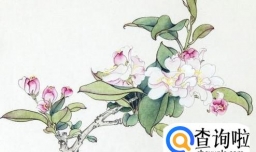 中国画的分类有哪些，如何区分？