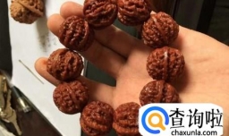 小核桃手串品种分类