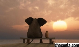 怎么能让自己心态变好