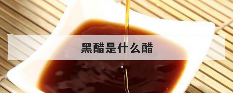 黑醋是什么醋
