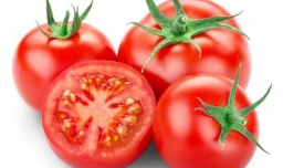 种的番茄什么时候才能变红