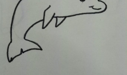 幼儿园宝宝怎么画海豚