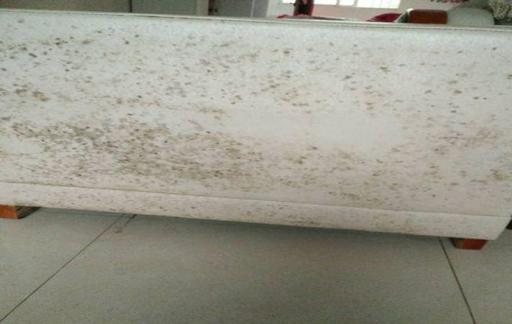 沙发有发霉的黑点要怎么处理