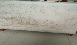 沙发有发霉的黑点要怎么处理