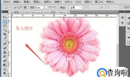 ps怎么把白底变成透明