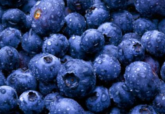 蓝莓的功效与作用