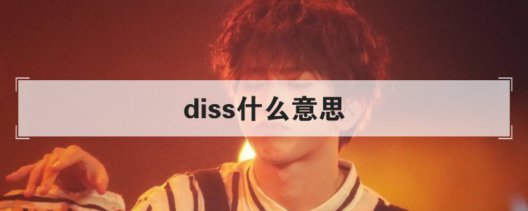 diss什么意思