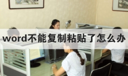 word不能复制粘贴了怎么办