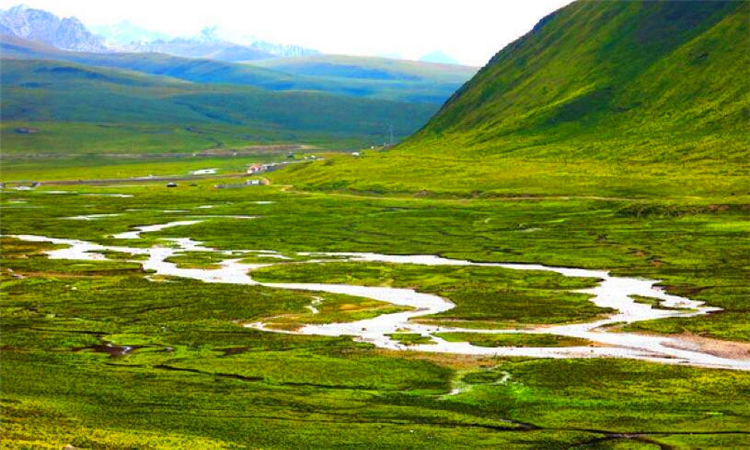 三江源指的是哪三江