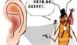 鼻异物、耳异物应当如何处理？