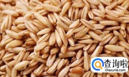 燕麦米怎么吃最好？