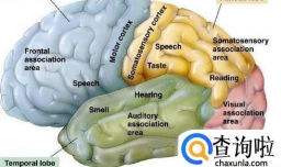 植物人的病因是什么 为什么会变成植物人