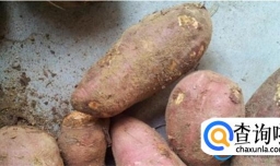 红薯这样做才好吃 这些做法每一种都是原汁原味 好吃又健康