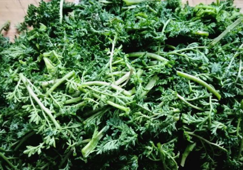 蒸米米蒿的做法