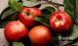 哪些食物不能和苹果一起吃？