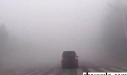 大雾天气开车怎么办