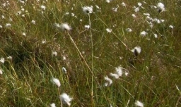 新浪邮箱打不开怎么办