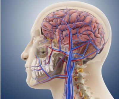 人每天要吃掉两瓶鼻涕吗