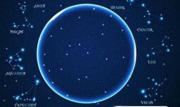 十二星座花及花语