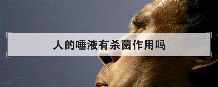 人的唾液有杀菌作用吗