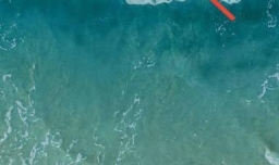 青年大学网上主题团课怎么登录