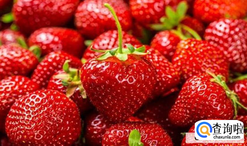 夏天吃的食物有哪些