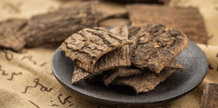 杜仲的功效与作用