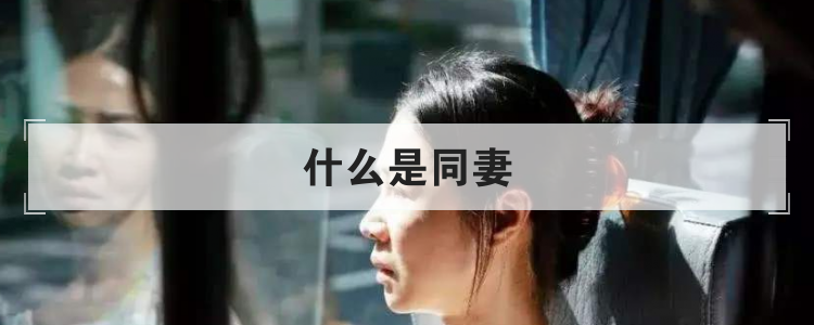 什么是同妻