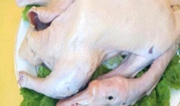 清炖鸭汤 儿子的最爱