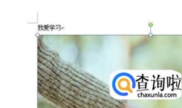 Word文档中的图片不能移动怎么办