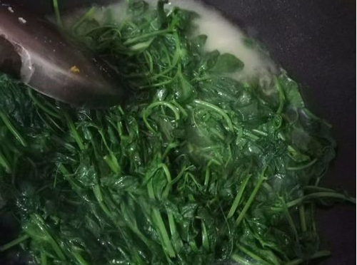 龙须豆苗怎么做好吃