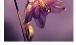 初一怎么学英语这门学科？