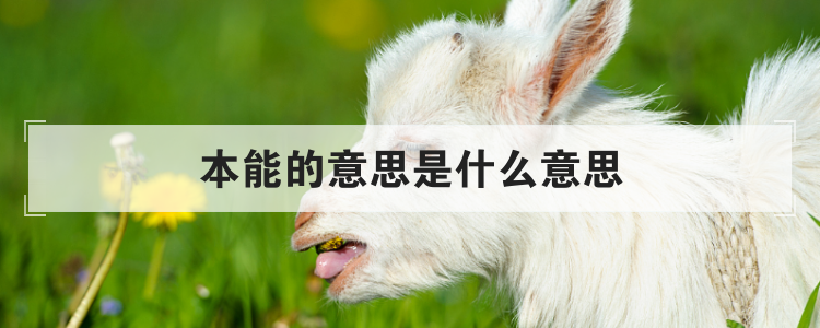 本能的意思是什么意思