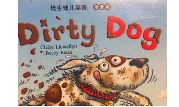 dirty是什么意思