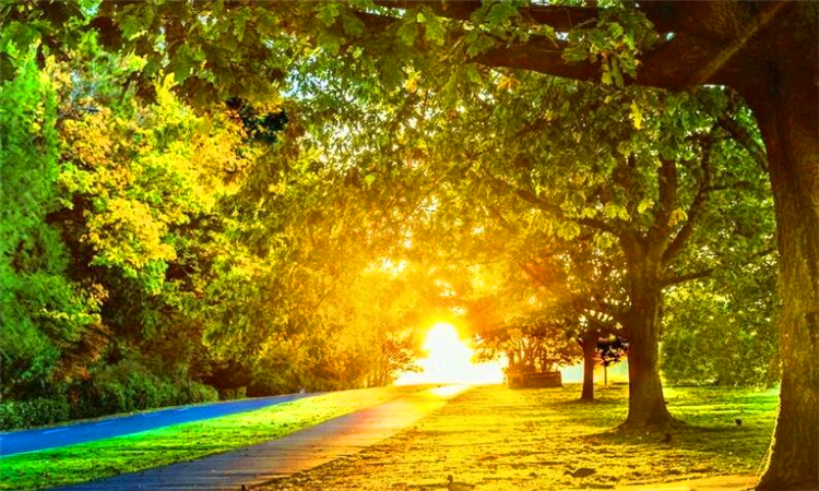 阳关大道原指通往哪里的道路