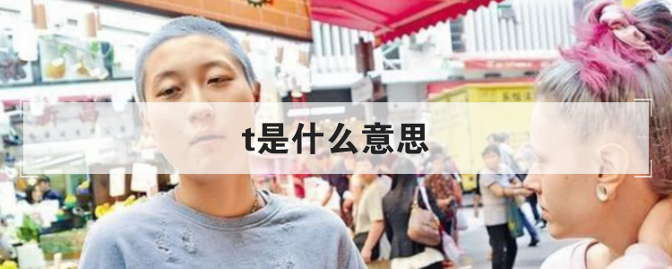 t是什么意思