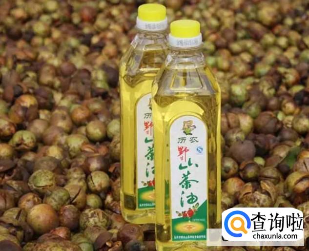 纯天然的防腐剂有吗