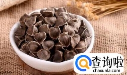 辣木籽种植方法